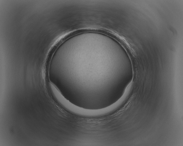 X0000116341319200912291604