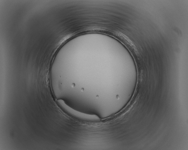 X0000116341321200912291604