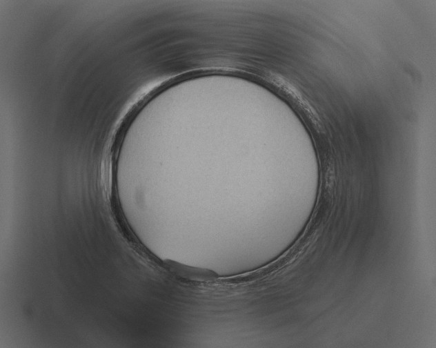 X0000116341323200912291604