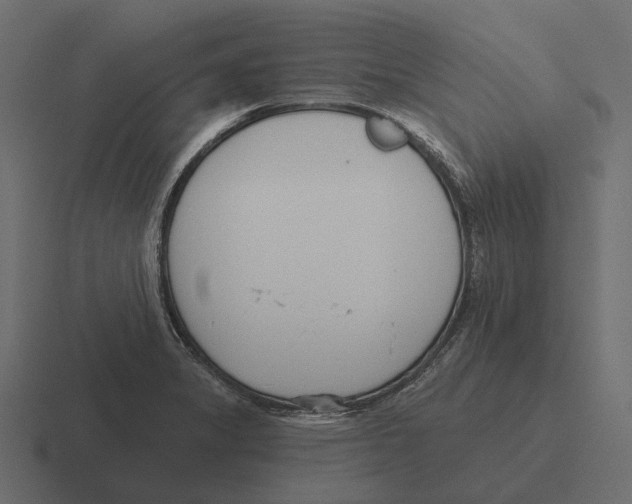 X0000116341325200912291604