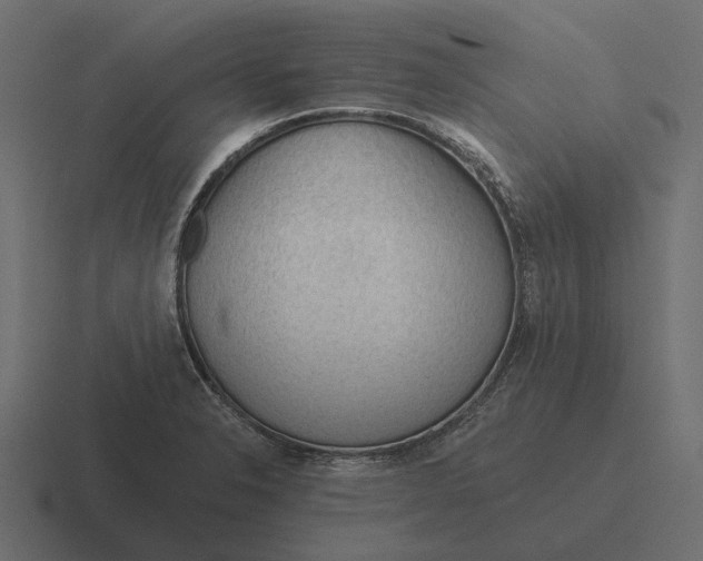 X0000116341326200912291604