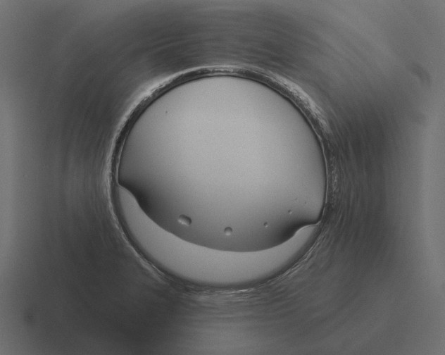 X0000116341327200912291604