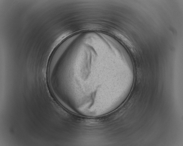 X0000116341330200912291604