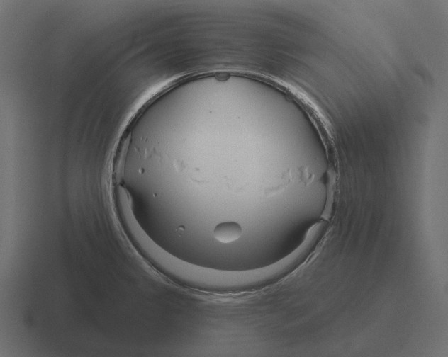 X0000116341333200912291605