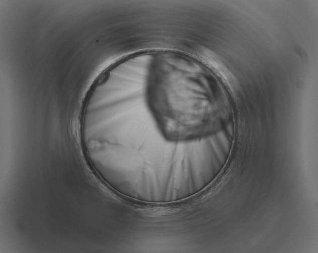 X0000116341334200912291605