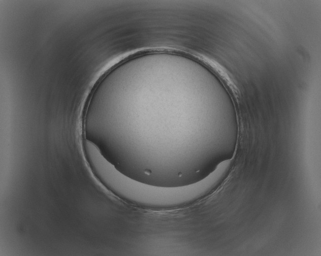 X0000116341335200912291605