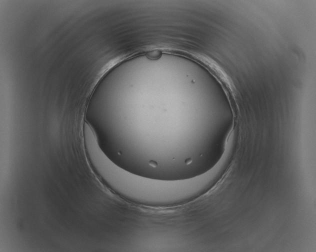 X0000116341337200912291605