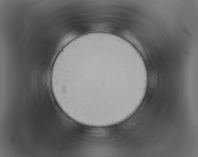 X0000116341338200912291605