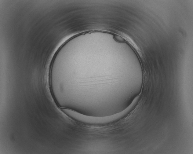 X0000116341339200912291605