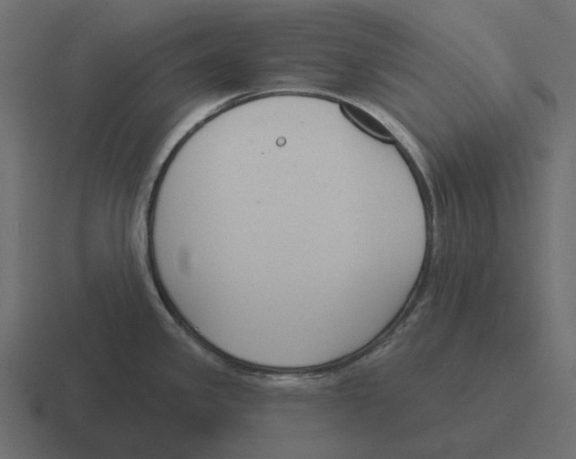 X0000116341341200912291605