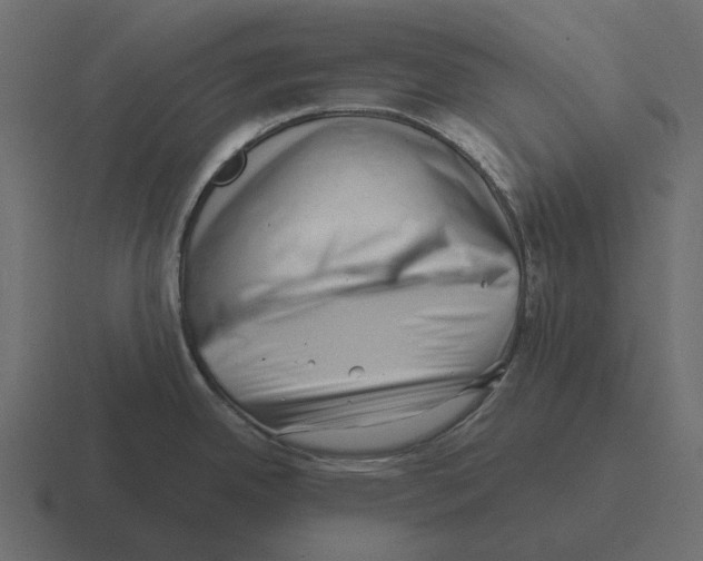 X0000116341342200912291605