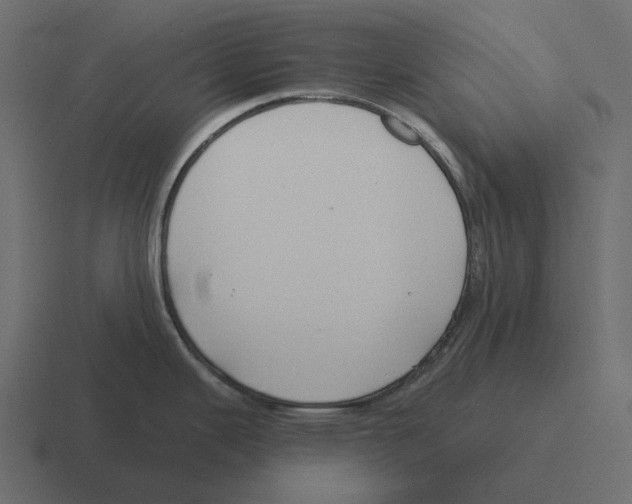 X0000116341343200912291605