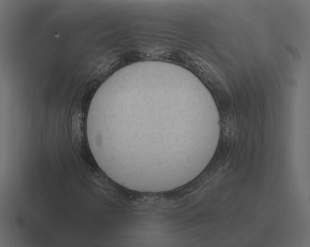 X0000116341346200912291604