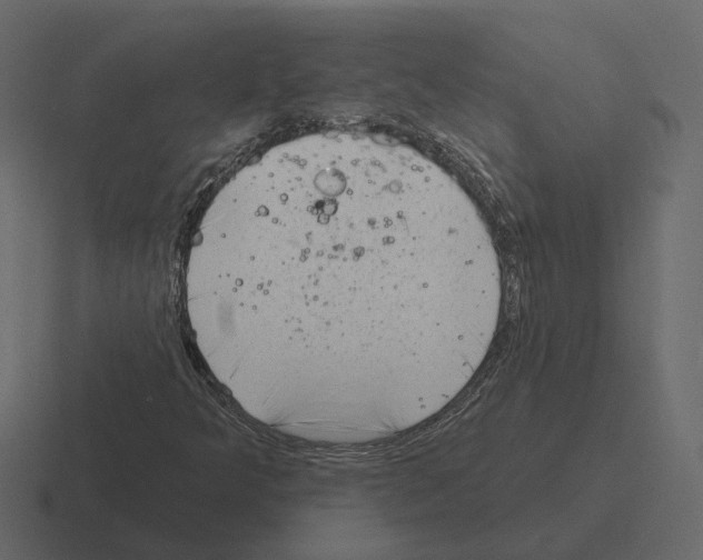 X0000116341349200912291604