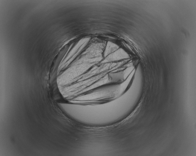 X0000116341353200912291604