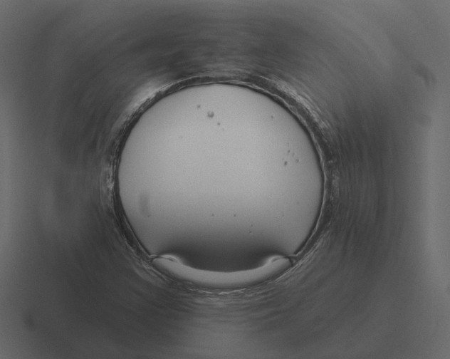 X0000116341355200912291604