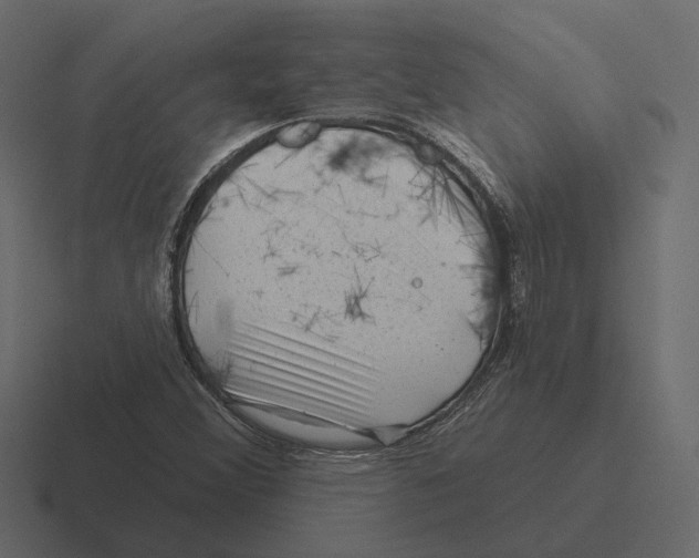 X0000116341356200912291604