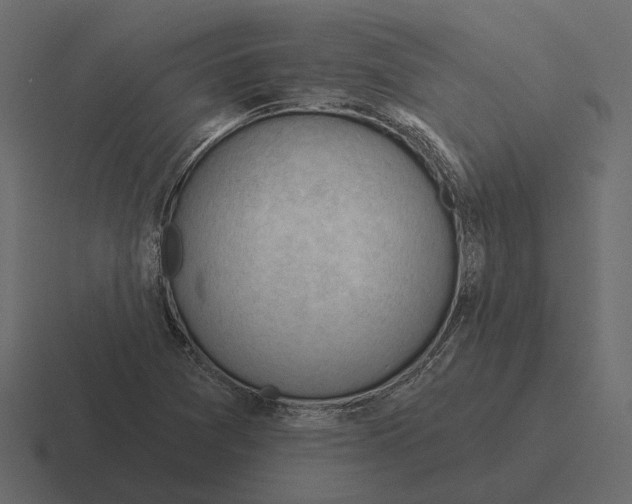 X0000116341361200912291604