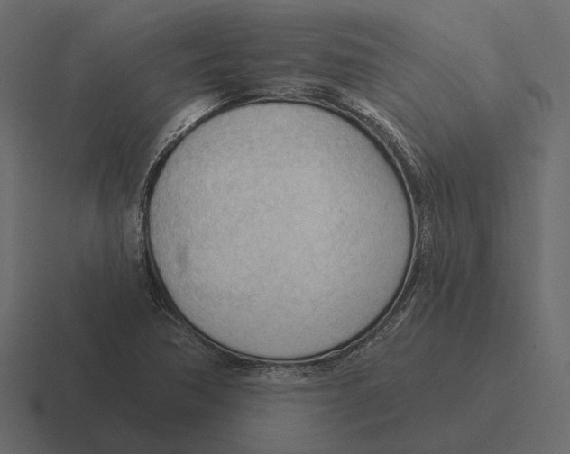 X0000116341362200912291604