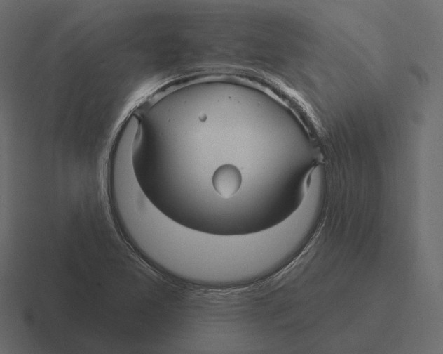 X0000116341365200912291604