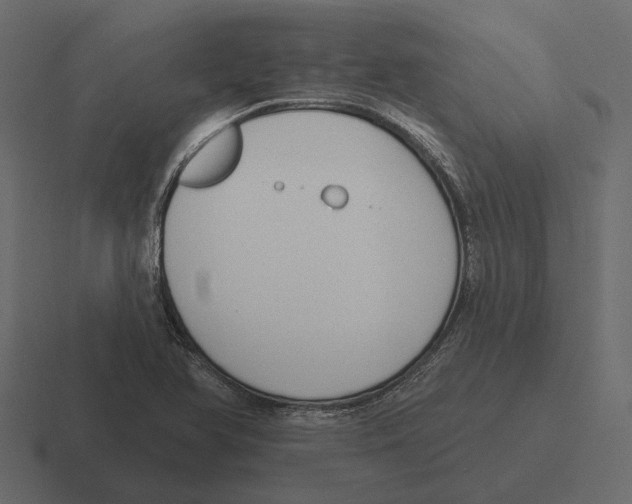 X0000116341366200912291604