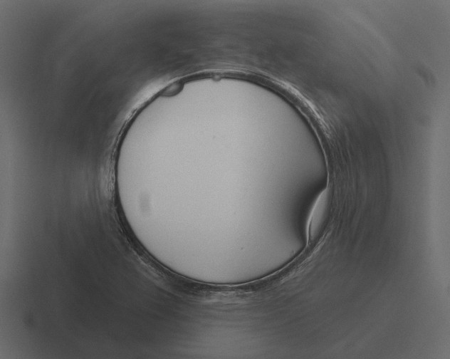 X0000116341367200912291604