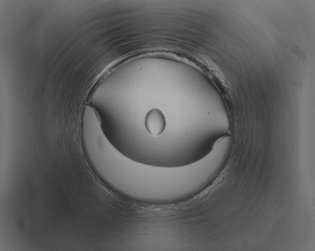 X0000116341369200912291604