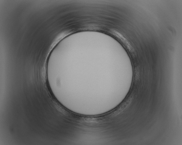 X0000116341370200912291604