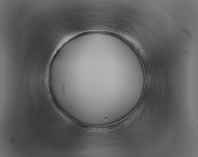 X0000116341374200912291604