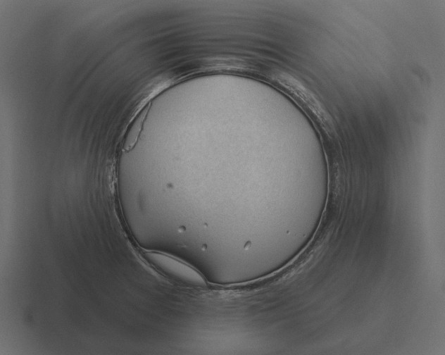 X0000116341377200912291604