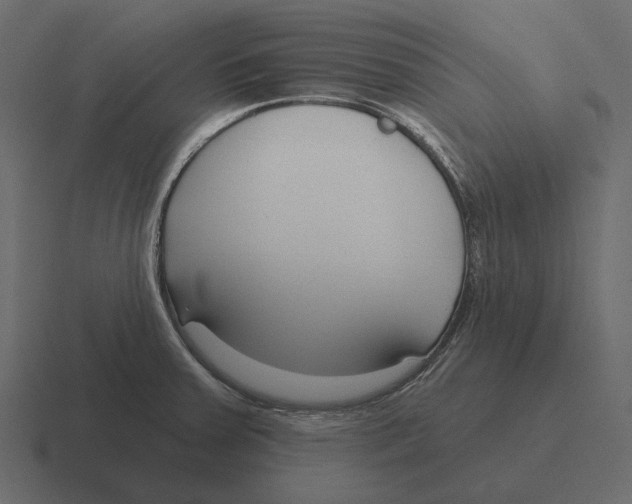 X0000116341379200912291604