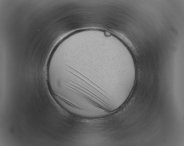 X0000116341380200912291604