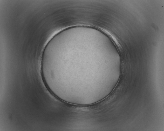 X0000116341383200912291604