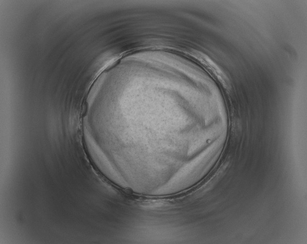 X0000116341385200912291604