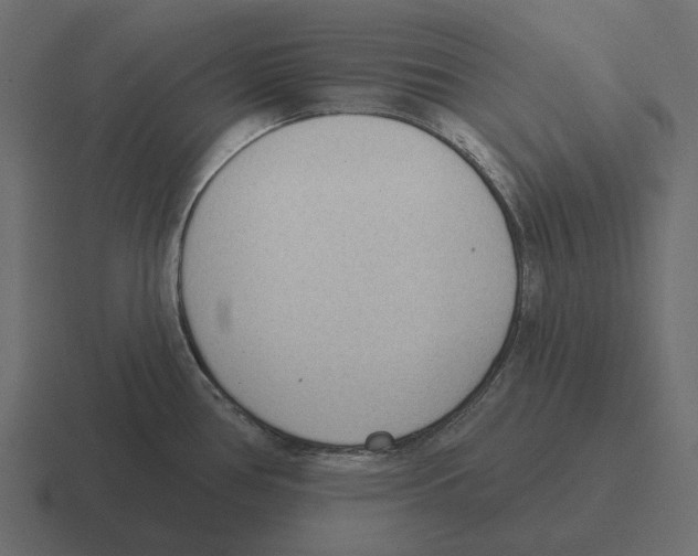 X0000116341386200912291604