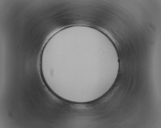 X0000116341387200912291604