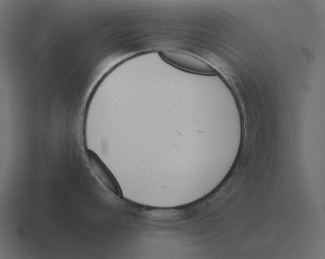 X0000116341392200912291603