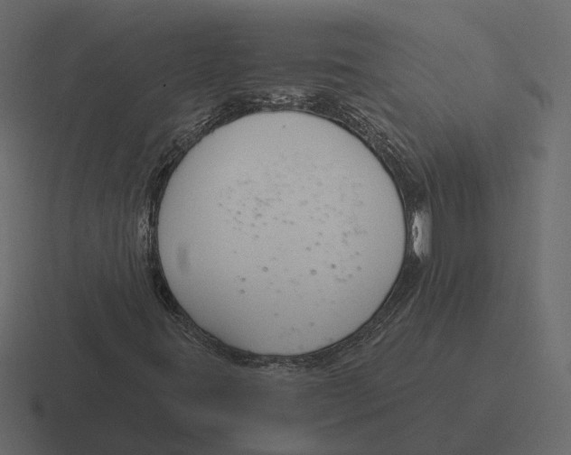 X0000116341395200912291603