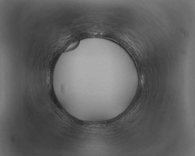 X0000116341396200912291603