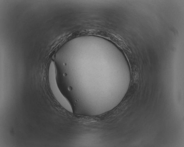 X0000116341397200912291603