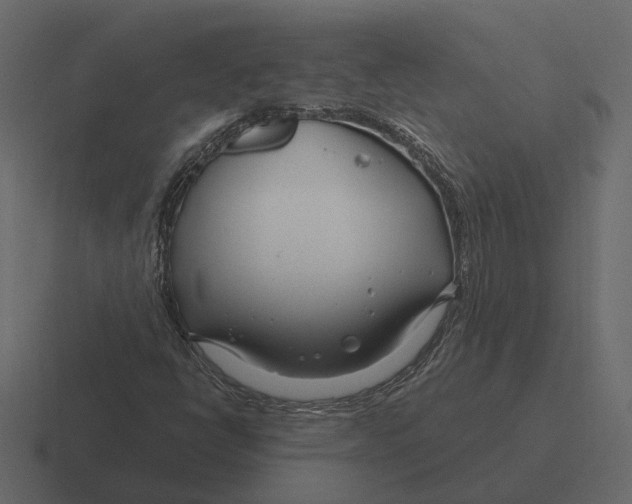 X0000116341398200912291603