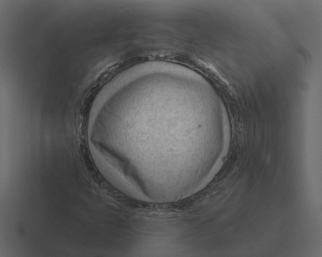 X0000116341399200912291603