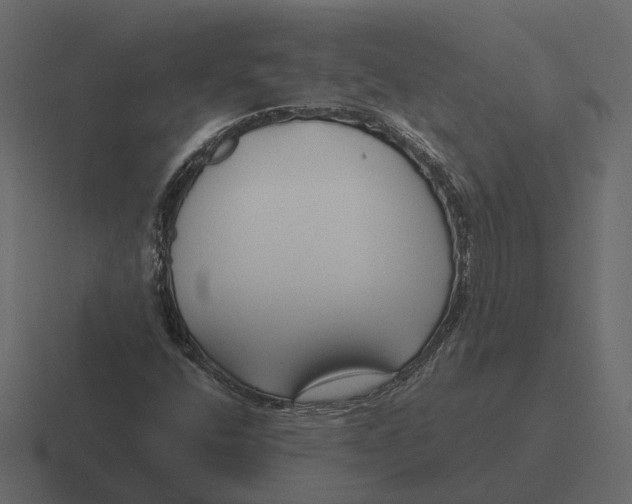 X0000116341400200912291603