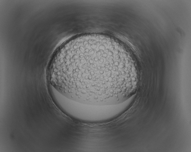 X0000116341404200912291603