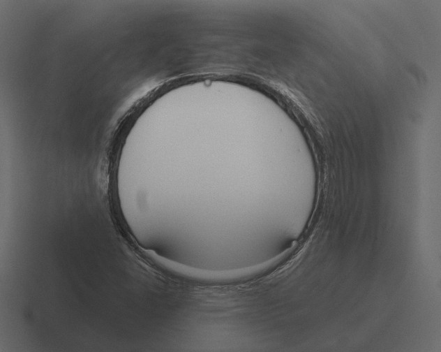 X0000116341406200912291603