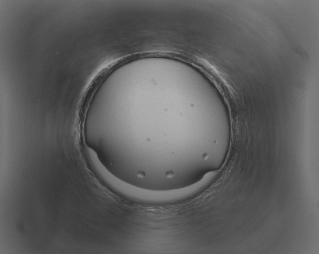 X0000116341408200912291603