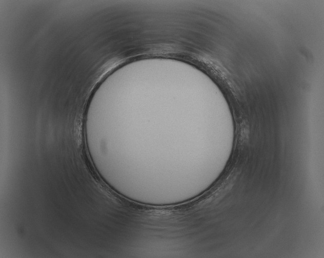 X0000116341409200912291603