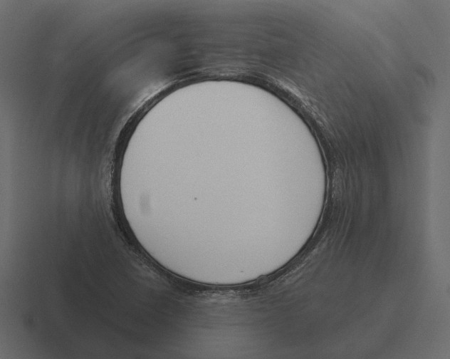 X0000116341410200912291603