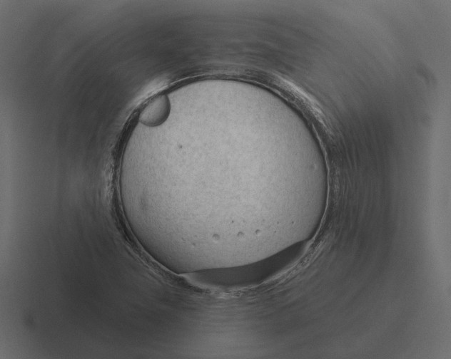 X0000116341411200912291603