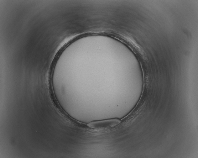 X0000116341412200912291603